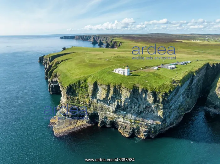  : Aerial view of the rugged coastal landscape at Duncansby H
