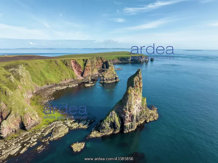  : Aerial view of the rugged coastal landscape with t
