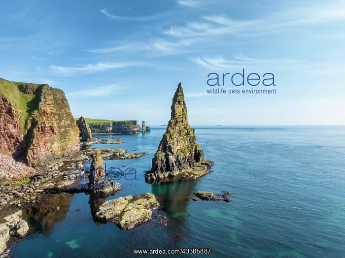 : Aerial view of the rugged coastal landscape with t : Aerial view of the rugged coastal landscape with t