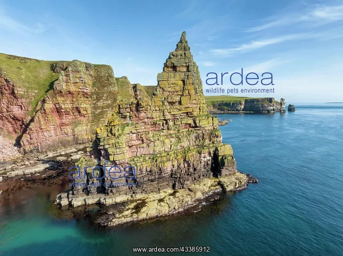  : Aerial view of the rugged coastal landscape with t