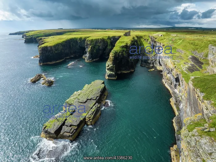 : Aerial view of the ruined Castle of Old Wick surrounded b : Aerial view of the ruined Castle of Old Wick surrounded b