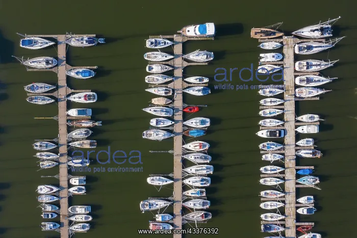 : Aerial view of sailing boats at the marina in the : Aerial view of sailing boats at the marina in the