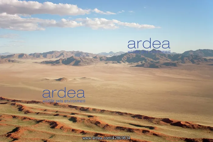: Aerial view of sand dunes and isolated mountain : Aerial view of sand dunes and isolated mountain
