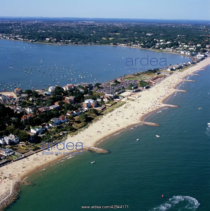  : Aerial view - Sandbanks, Poole Bay, Dorset