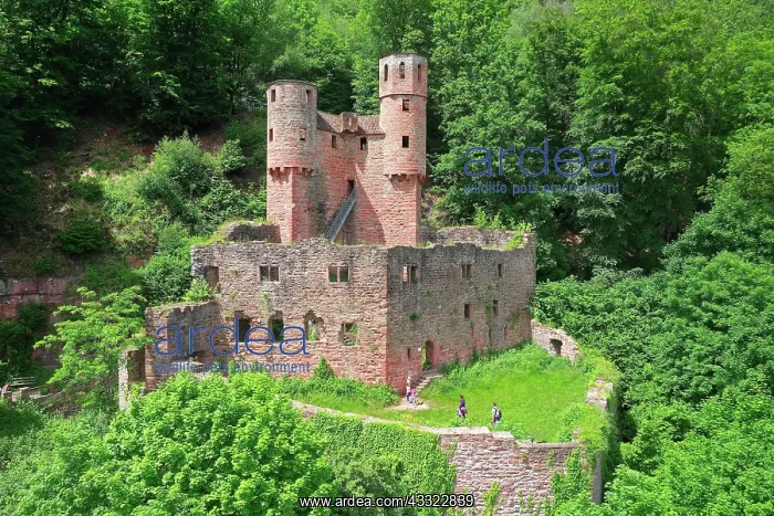 : Aerial view, Schadeck Castle, also known as Swallows