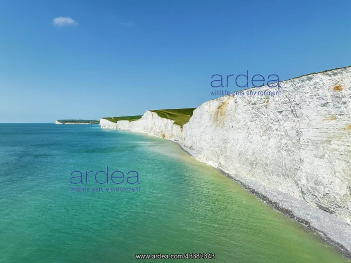 : Aerial view of The Seven Sisters chalk cliffs, S : Aerial view of The Seven Sisters chalk cliffs, S