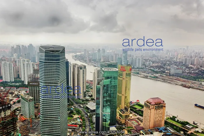 : Aerial view of Shanghai, China : Aerial view of Shanghai, China