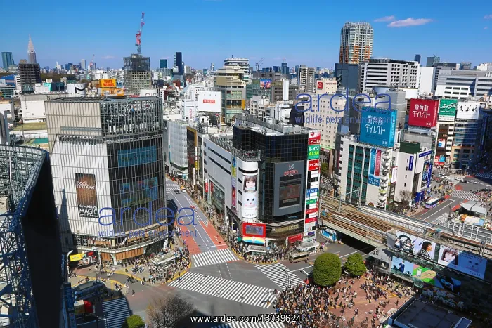 : Aerial view of the Shibuya pedestrian crossing : Aerial view of the Shibuya pedestrian crossing