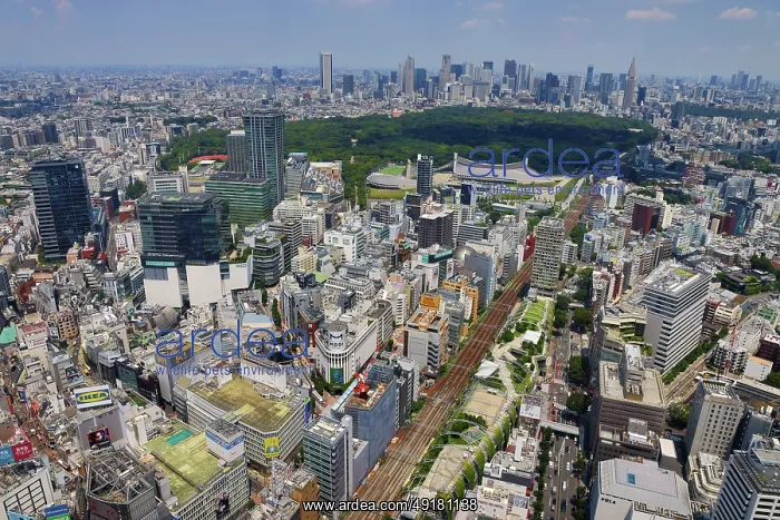  : Aerial view of Shibuya and Yoyogi Park with the Shinjuku Skyline behind, Tokyo, Japan