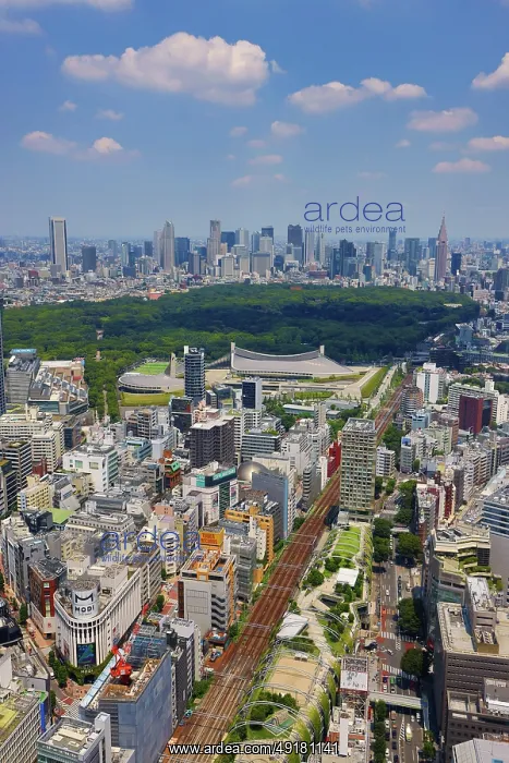  : Aerial view of Shibuya and Yoyogi Park with the Shinjuku Skyline behind, Tokyo, Japan