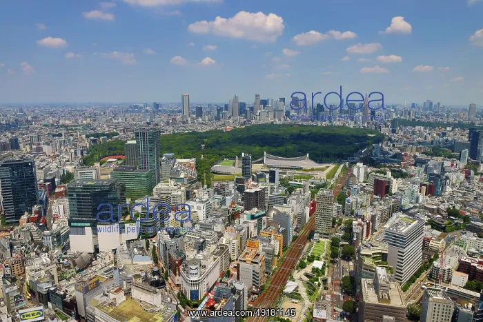  : Aerial view of Shibuya and Yoyogi Park with the Shinjuku Skyline behind, Tokyo, Japan