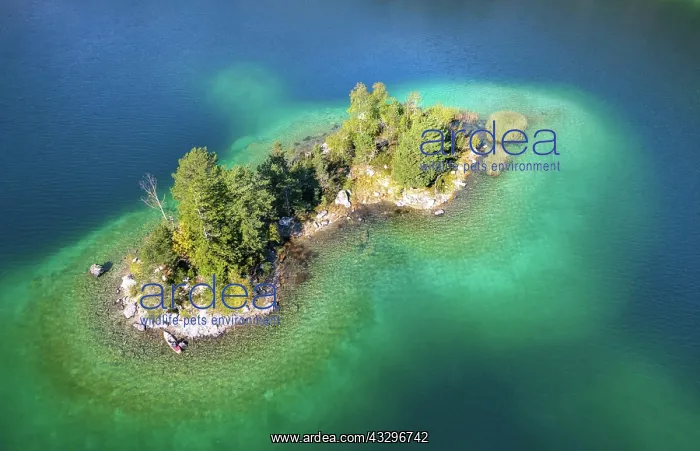 : Aerial view of a small island with trees in the : Aerial view of a small island with trees in the