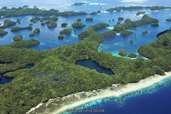: Aerial view of small tropical archipelago many small : Aerial view of small tropical archipelago many small