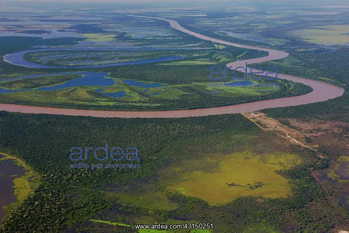 : Aerial view of small winding river and savannah : Aerial view of small winding river and savannah