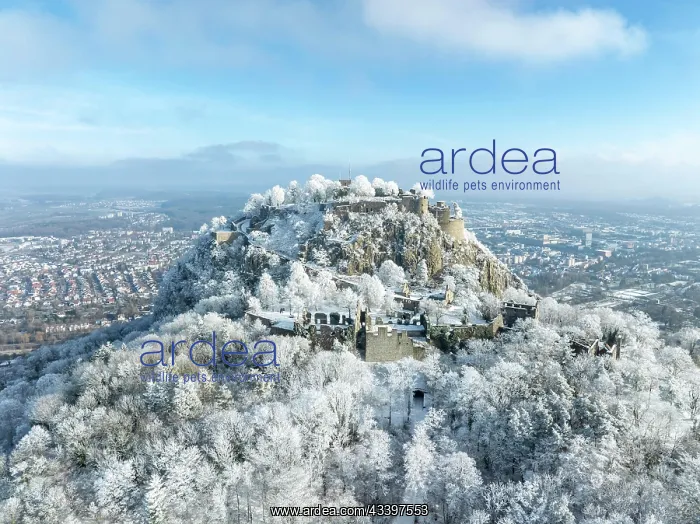 : Aerial view of the snow-covered Hegau volcano Hohentwiel : Aerial view of the snow-covered Hegau volcano Hohentwiel