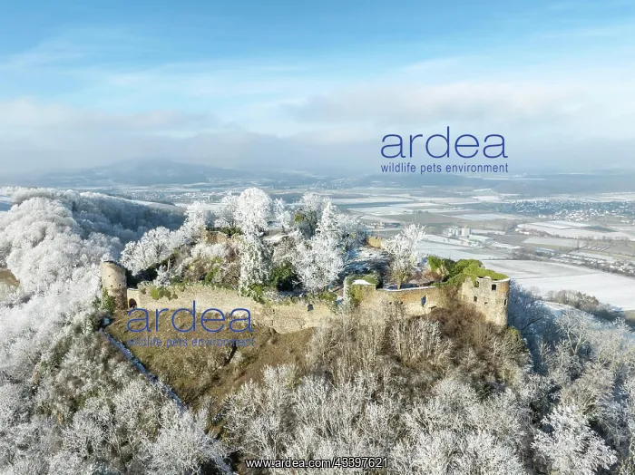 : Aerial view of the snow-covered Hegau volcano Mcgdeberg : Aerial view of the snow-covered Hegau volcano Mcgdeberg