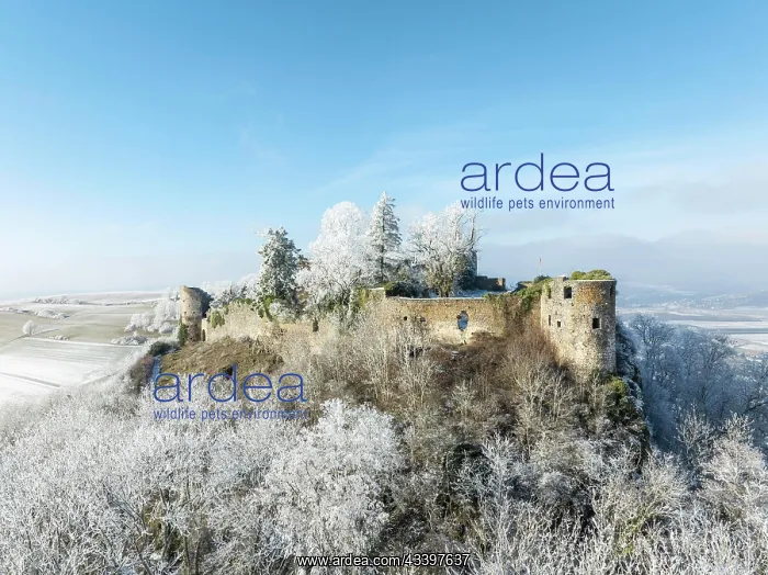 : Aerial view of the snow-covered Hegau volcano Mcgdeberg : Aerial view of the snow-covered Hegau volcano Mcgdeberg