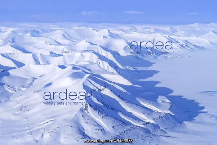 : Aerial view over snow-covered mountains and valleys on Svalbard : Aerial view over snow-covered mountains and valleys on Svalbard