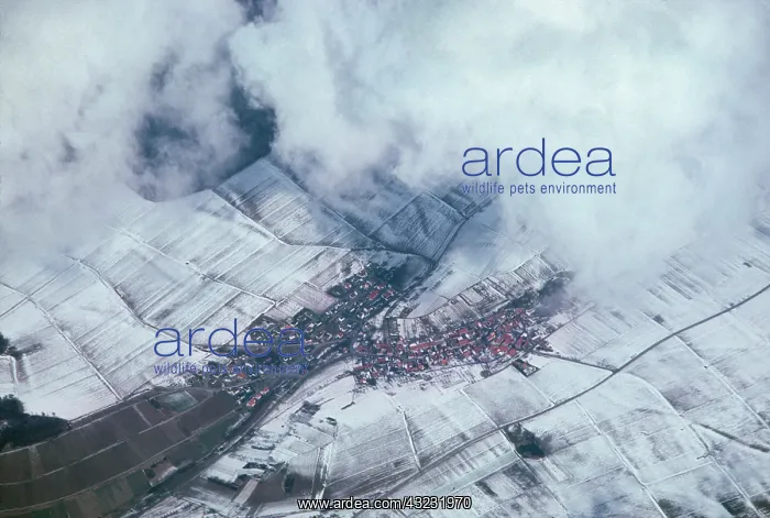 : Aerial view of a snow-dusted rural village : Aerial view of a snow-dusted rural village