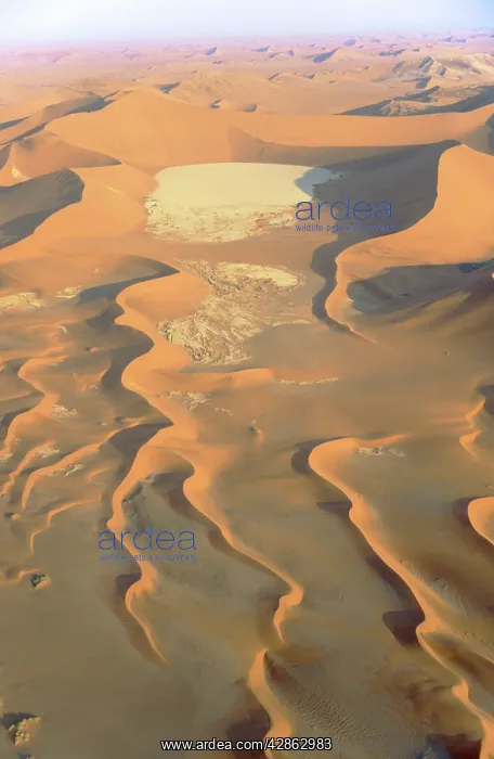 : Aerial view of the so-called Dead Vlei which : Aerial view of the so-called Dead Vlei which