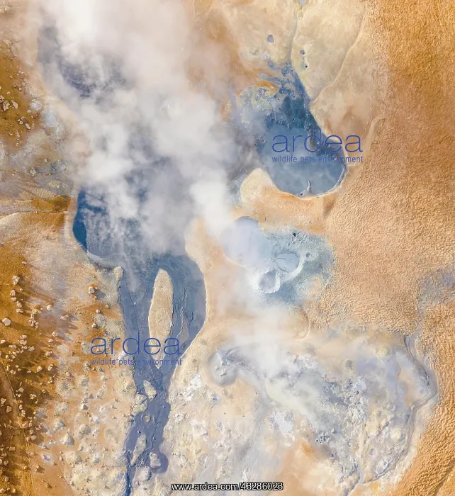 : Aerial view, steaming river and fumaroles, geothermal : Aerial view, steaming river and fumaroles, geothermal