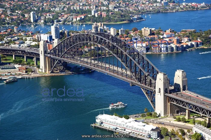 : Aerial view of Sydney Harbour Bridge, Sydney, New : Aerial view of Sydney Harbour Bridge, Sydney, New