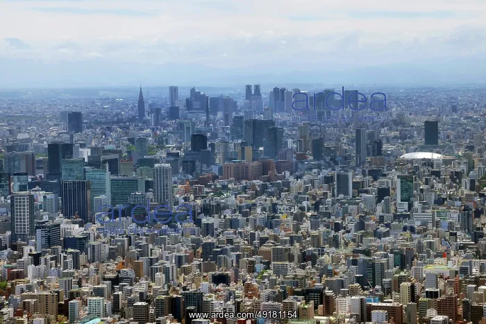 : Aerial view of the Tokyo skyline looking towards Shinjuku, Tokyo, Japan : Aerial view of the Tokyo skyline looking towards Shinjuku, Tokyo, Japan