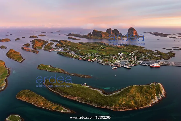 : Aerial view of Tr~na Island in the evening, Traena : Aerial view of Tr~na Island in the evening, Traena