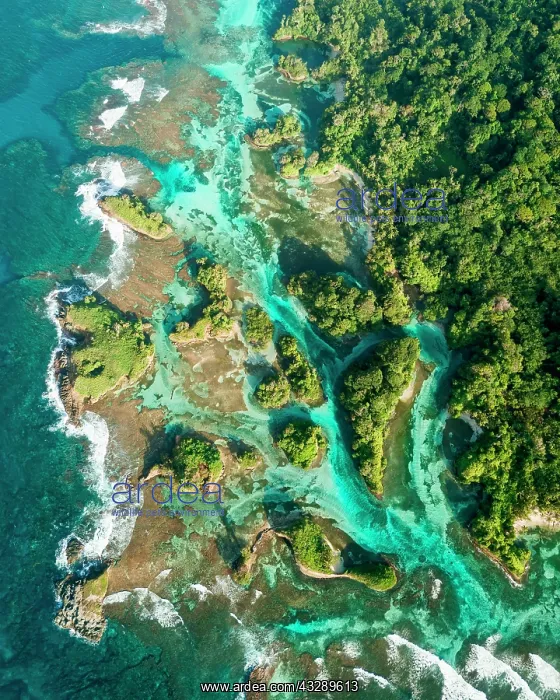 : Aerial view, tropical mangrove islands in the Caribbean : Aerial view, tropical mangrove islands in the Caribbean