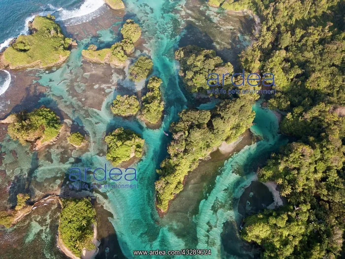  : Aerial view, tropical mangrove islands in the Caribbean