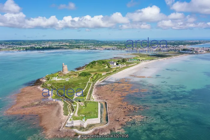 : Aerial view of the Vauban fortifications of Sain : Aerial view of the Vauban fortifications of Sain