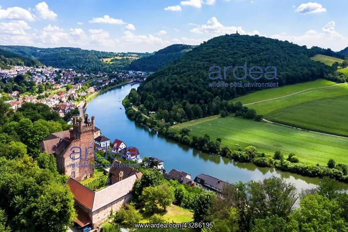: Aerial view of the Vierburgeneck Schadeck Castle : Aerial view of the Vierburgeneck Schadeck Castle