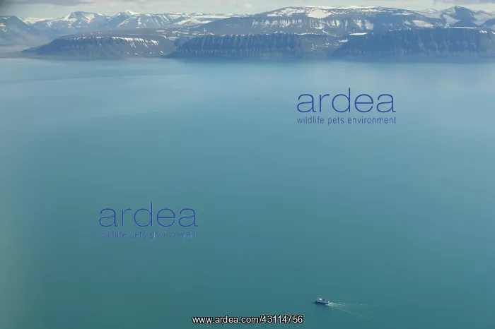 : aerial view view over Isfjorden Svalbard with a ship : aerial view view over Isfjorden Svalbard with a ship