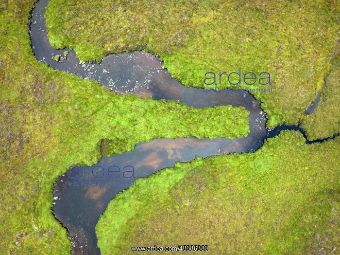 : Aerial view, top down view of a river course at t : Aerial view, top down view of a river course at t
