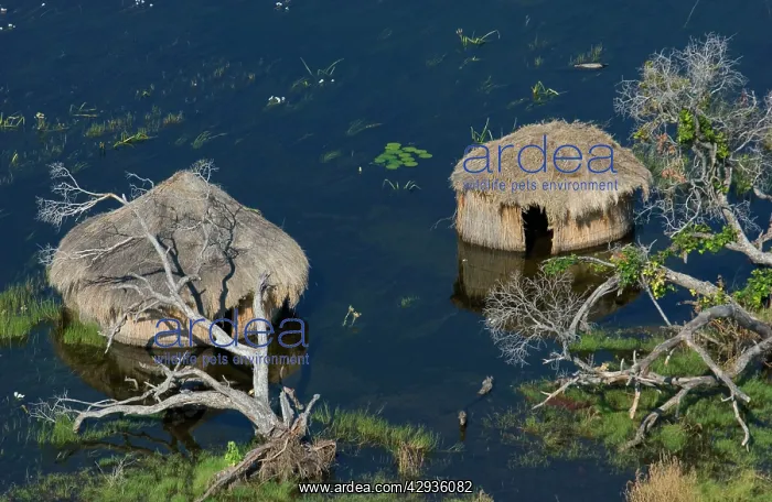 : Aerial view of village huts : Aerial view of village huts