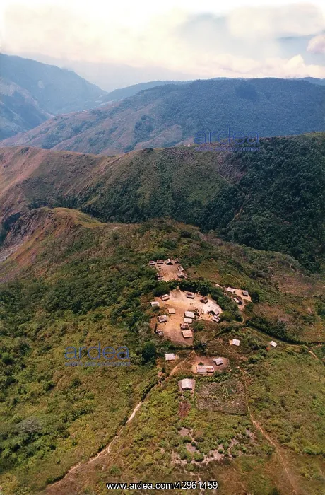 : An aerial view of villagers congregating in the : An aerial view of villagers congregating in the