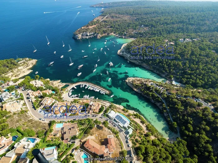 : Aerial view, villas and yachts at Portals Vells : Aerial view, villas and yachts at Portals Vells