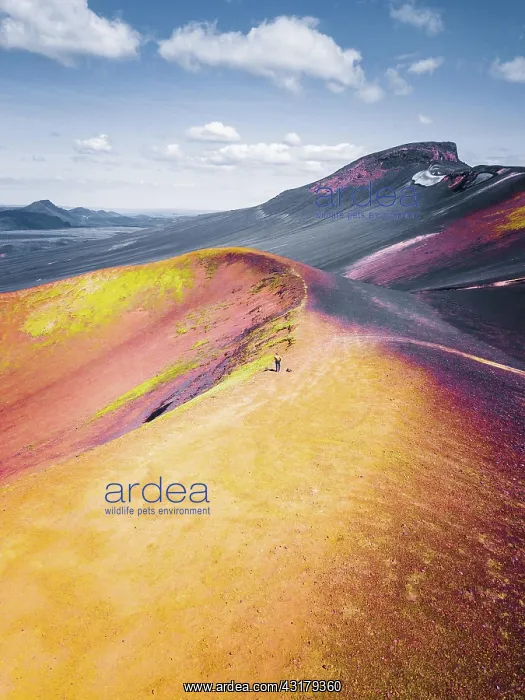 : Aerial view, volcano, crater rim with yellow sulphur : Aerial view, volcano, crater rim with yellow sulphur