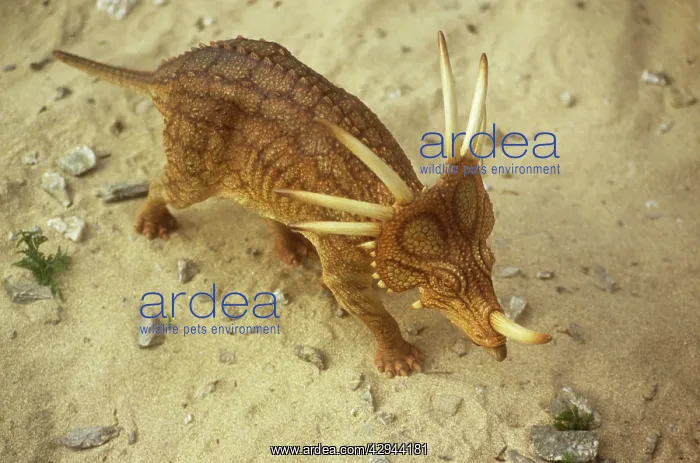 : Aerial view of walking Styracosaur : Aerial view of walking Styracosaur