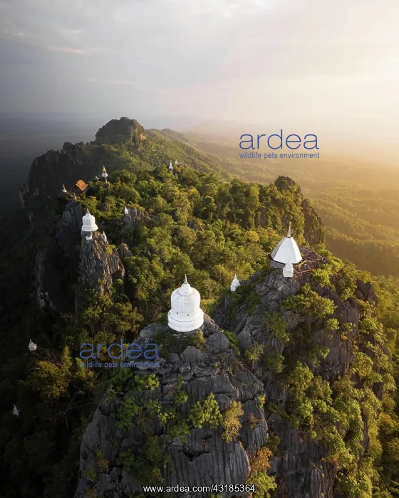  : Aerial view, Wat Chaloem Phra Kiat Phrachomklao