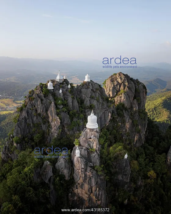 : Aerial view, Wat Chaloem Phra Kiat Phrachomklao : Aerial view, Wat Chaloem Phra Kiat Phrachomklao