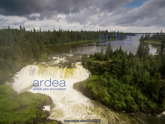 : Aerial view of waterfall on the Grass River in boreal : Aerial view of waterfall on the Grass River in boreal