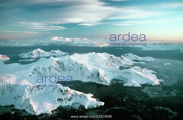 : Aerial view of West side of Arctowsky Peninsula : Aerial view of West side of Arctowsky Peninsula