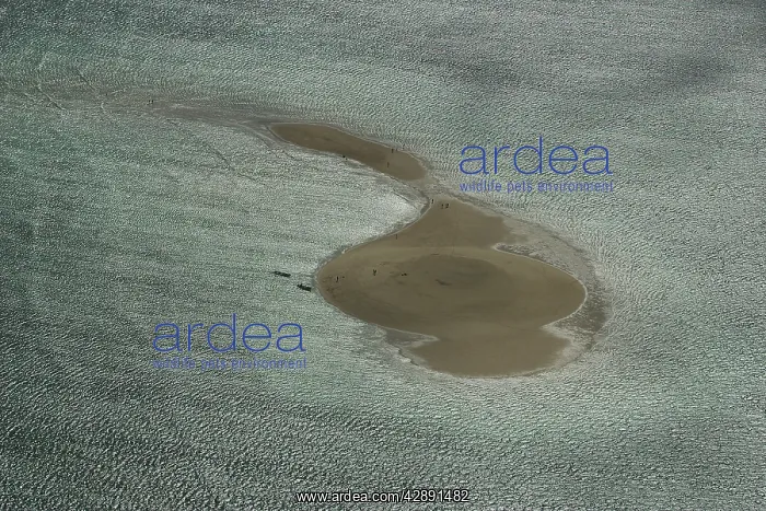 : Aerial view of white sand beach, Mayotte, Comoros Islands : Aerial view of white sand beach, Mayotte, Comoros Islands