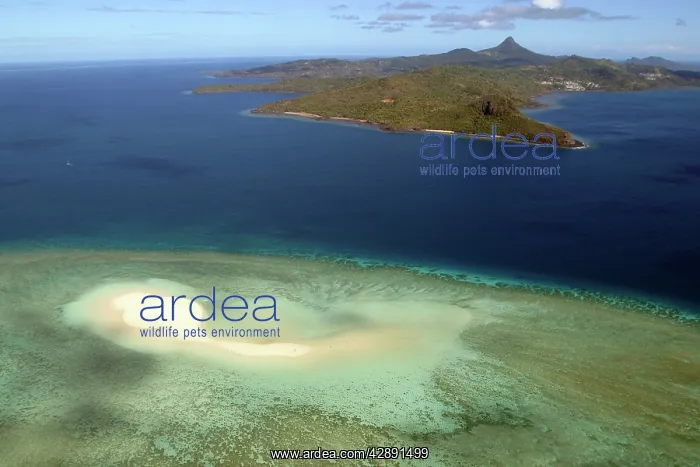 : Aerial view of white sand beach, Mayotte, Comoros Islands : Aerial view of white sand beach, Mayotte, Comoros Islands