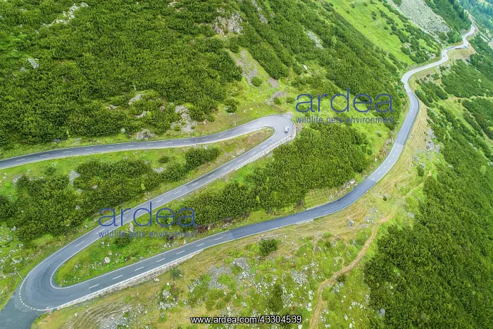 : Aerial view, winding pass road Fl&, x25b21c21;ss : Aerial view, winding pass road Fl&, x25b21c21;ss