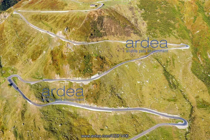  : Aerial view, winding pass road Furka Pass, Canton