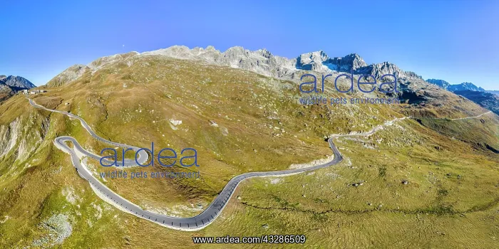 : Aerial view, winding pass road Furka Pass, Canton : Aerial view, winding pass road Furka Pass, Canton