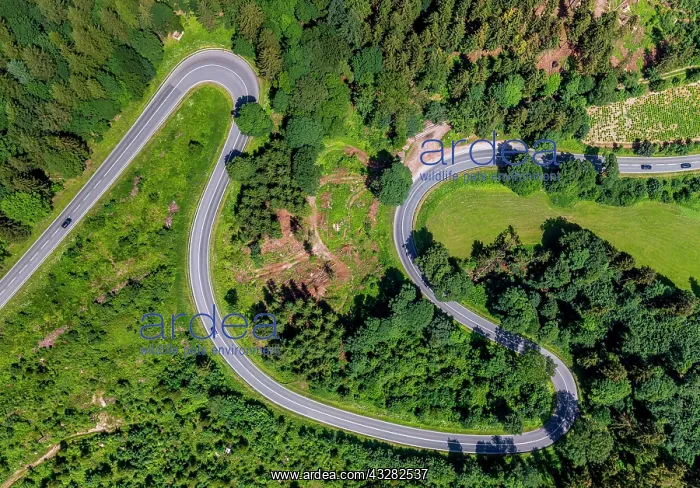 : Aerial view, Winding road with hairpin bends, Am : Aerial view, Winding road with hairpin bends, Am