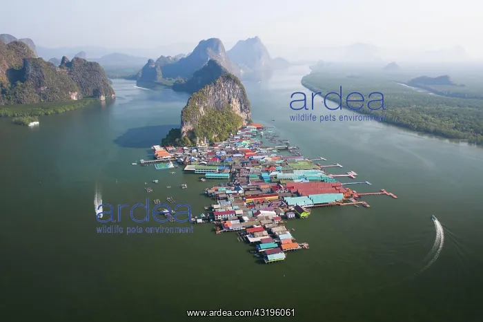: Aerial view, wooden house settlement, pile dwelling : Aerial view, wooden house settlement, pile dwelling